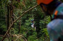 Ziplining Cape Tribulation with Treetops Adventures