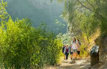 Morialta Wilderness and Wildlife Hike