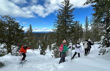 Scenic Snowshoe Adventure in South Lake Tahoe, CA