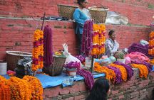 7-Day Kathmandu & Pokhara Highlights Tour