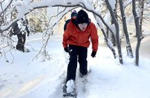 Scenic Snowshoe Adventure in South Lake Tahoe, CA