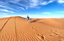 Exclusive Desert safari