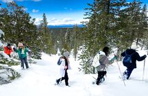 Scenic Snowshoe Adventure in South Lake Tahoe, CA