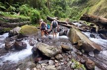 Guided Waterfall Adventure: Sendang Gile & Tiu Kelep North Lombok