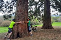 Half-Day E-Bike Tour through Buda Hills to the Top of Budapest