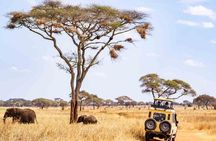 5 Days Private Tarangire, Serengeti, Ngorongoro, Manyara Safaris