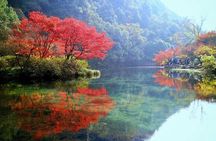 Half-Day Hangzhou Jiuxi Stream and Tea Plantation Experience
