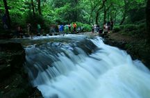Half-Day Hangzhou Jiuxi Stream and Tea Plantation Experience