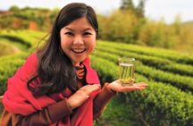 Half-Day Hangzhou Jiuxi Stream and Tea Plantation Experience