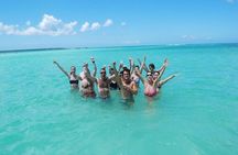 Saona Island Exclusive Beach All Inclusive from Punta Cana 