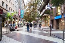 City Walking Tour of the Historic Center of Santiago