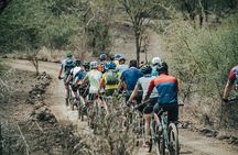 Kilimanjaro 360° 9 days Tour
