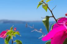 Romantic Tour through Santorini