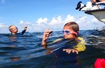7 Hour Private Scalloping Package in Mangrove Point