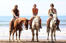 Jaco Beach Costa Rica Horseback Riding