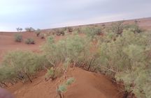 3 days 2 nights: Safari Desert Erg Zahar & Erg Chigaga