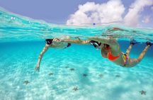 Tour to Cozumel by Catamaran with Snorkeling and Mia Beach Club