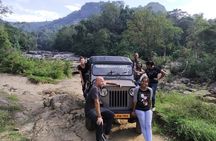 Anakulam Wild Elephant Visiting & Tribal village Safari