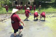 Hoi An Wet Rice Farming Tour Private Round Boat Fishing & Lunch