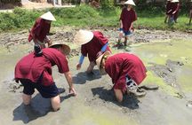 Hoi An Wet Rice Farming Tour Private Round Boat Fishing & Lunch