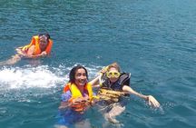  Full Day Fun Diving and Snorkeling By Tiger Fish Divers