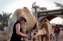 Desert Safari Quad Biking with Barbeque and Dubai City Tour