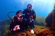Private diving baptism in the Golf of Calvi