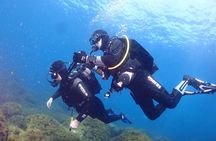 Private diving baptism in the Golf of Calvi
