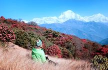 The Best of Nepal : 5-Day Trek to Ghorepani Poon Hill & Ghandruk