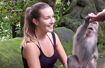 Full-Day Bali Island Tour Including Mt Batur And Sacred Monkey Forest Sanctuary