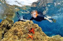 Boat Trip and Snorkeling in the Gulf of Calvi