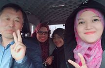  Private Day Tour World Natural Heritage in jeju island 