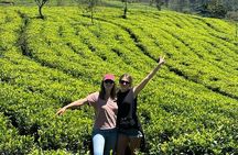 Sri Lanka: 8-Day Private Round Tour with Driver