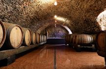 Tour and Tasting of Sparkling Wines in Valeggio