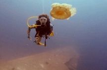Guided Scuba Diving Adventure in Aqaba
