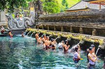1-Day Ubud Tours All-Inclusive