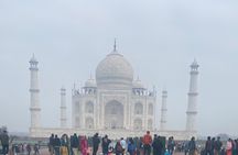 Myth Busting Tour of History in Taj Mahal