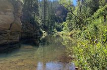 Guided backpacking and hiking trip on Arizona’s Mogollon Rim