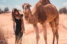 3 Days to Merzouga's Sahara: from fez to Marrakech