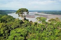 Yasuní and Limoncocha 4-Day Wildlife Adventure