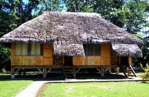 Yasuní and Limoncocha 4-Day Wildlife Adventure