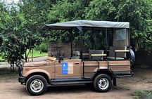 Nyerere Game Reserve: Boat Safari on the Rufiji River