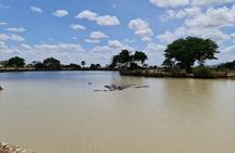 Nyerere Game Reserve: Boat Safari on the Rufiji River