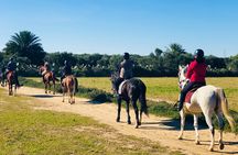 Horseback riding with private transfer
