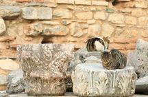 Ephesus Private Tour : Must-See Attractions in Ephesus