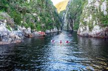 3 Days 2 Nights Garden Route Private Tour from Cape Town
