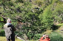Private Multi-day Guided Tour Torres del Paine