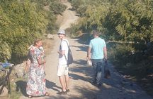 Authentic Olive Oil and Cultural Experience in Crete