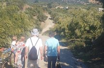 Authentic Olive Oil and Cultural Experience in Crete