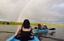 Kayaking Tour Chiriqui